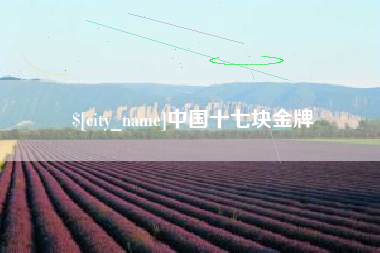 栖霞中国十七块金牌