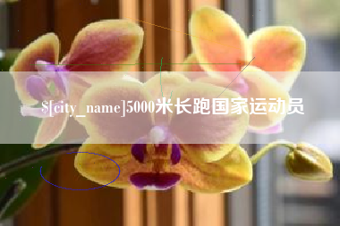栖霞5000米长跑国家运动员