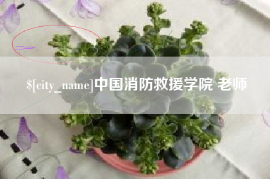 栖霞中国消防救援学院 老师