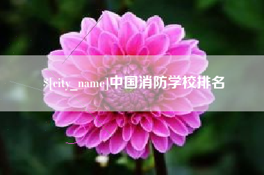 栖霞中国消防学校排名