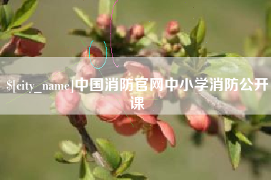 栖霞中国消防官网中小学消防公开课