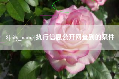 栖霞执行信息公开网查到的案件