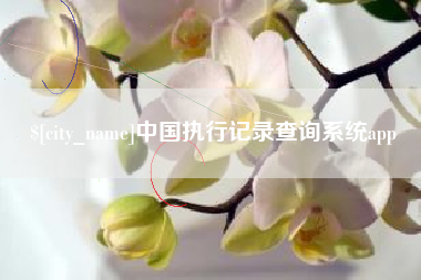 栖霞中国执行记录查询系统app