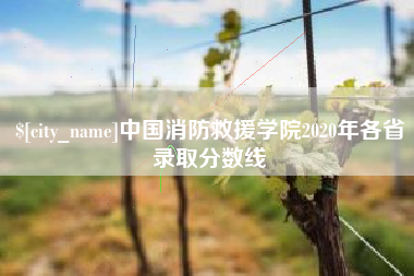 栖霞中国消防救援学院2020年各省录取分数线