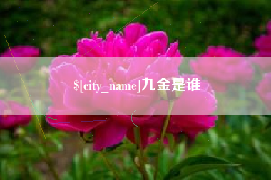 栖霞九金是谁