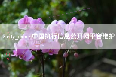 栖霞中国执行信息公开网平台维护