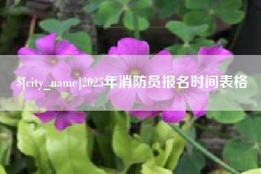 栖霞2025年消防员报名时间表格