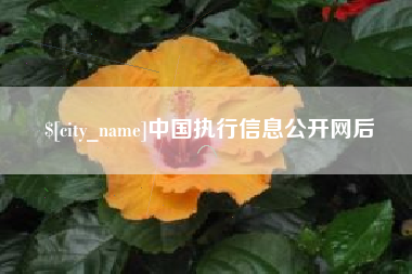 栖霞中国执行信息公开网后