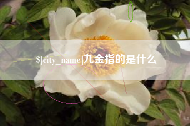 栖霞九金指的是什么