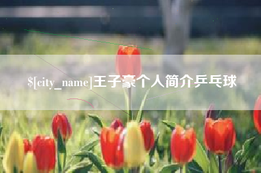 栖霞王子豪个人简介乒乓球