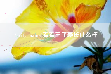 栖霞看看王子豪长什么样