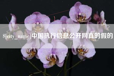 栖霞中国执行信息公开网真的假的