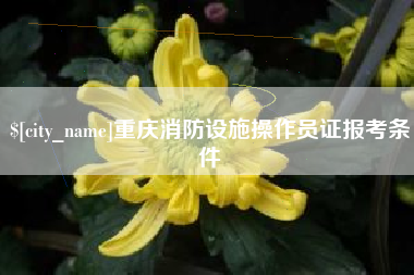 栖霞重庆消防设施操作员证报考条件