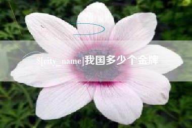 栖霞我国多少个金牌