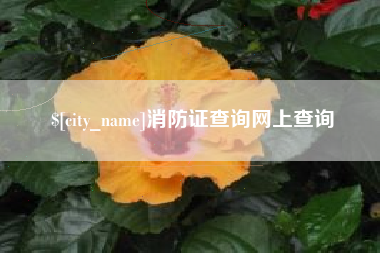 栖霞消防证查询网上查询