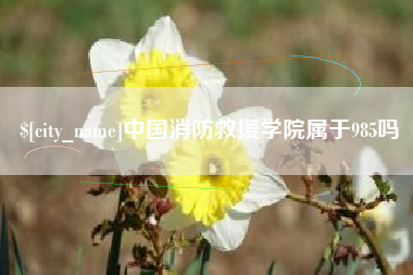 栖霞中国消防救援学院属于985吗