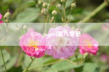 栖霞第九金是