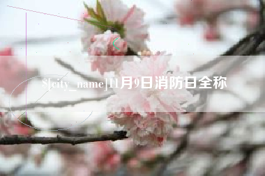 栖霞11月9日消防日全称