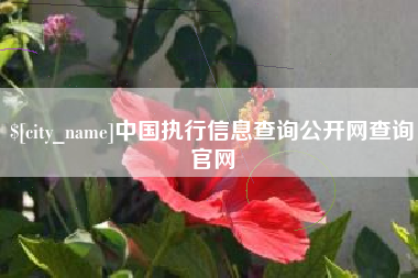 栖霞中国执行信息查询公开网查询官网
