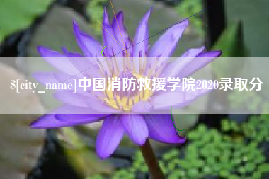 栖霞中国消防救援学院2020录取分