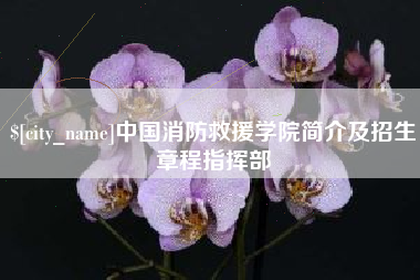 栖霞中国消防救援学院简介及招生章程指挥部