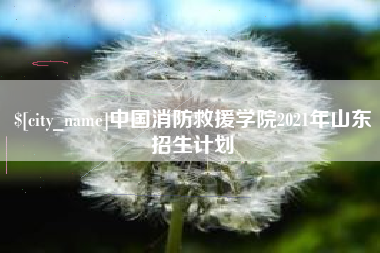 栖霞中国消防救援学院2021年山东招生计划