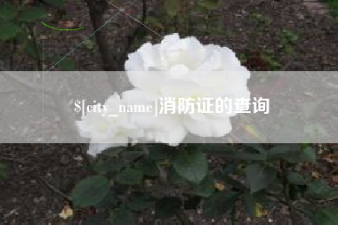 栖霞消防证的查询