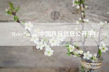 栖霞中国执行信息公开平台