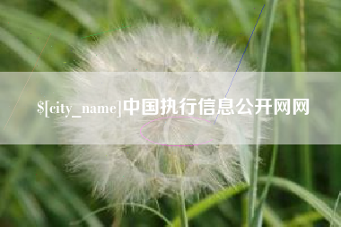栖霞中国执行信息公开网网