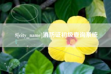 栖霞消防证初级查询系统