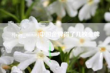 栖霞中国金牌得了几枚金牌