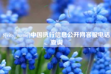 栖霞中国执行信息公开网客服电话查询