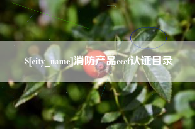 栖霞消防产品cccf认证目录