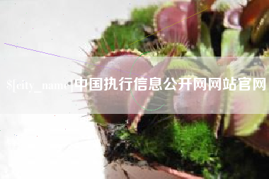 栖霞中国执行信息公开网网站官网