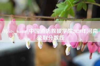 栖霞中国消防救援学院2020年河南录取分数线