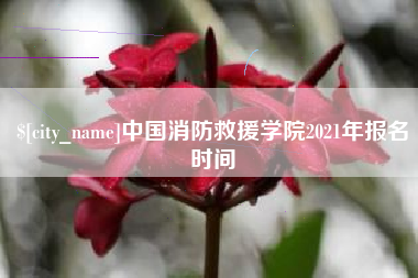 栖霞中国消防救援学院2021年报名时间