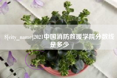 栖霞2021中国消防救援学院分数线是多少