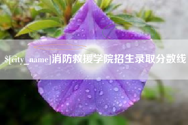 栖霞消防救援学院招生录取分数线