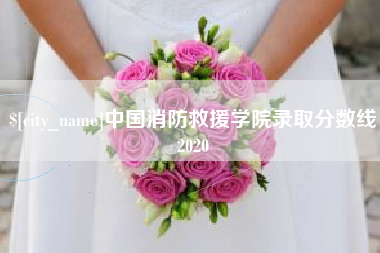 栖霞中国消防救援学院录取分数线2020