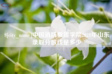 栖霞中国消防救援学院2021年山东录取分数线是多少