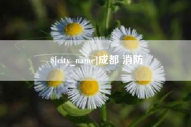 栖霞成都 消防