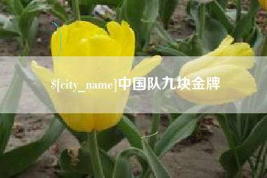 栖霞中国队九块金牌