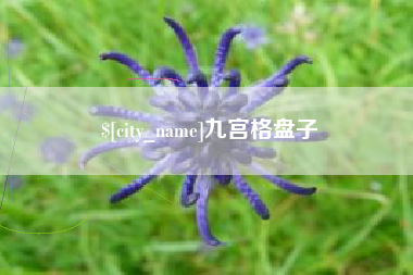 栖霞九宫格盘子