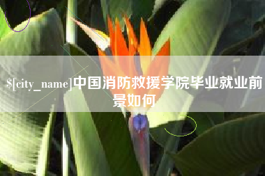 栖霞中国消防救援学院毕业就业前景如何