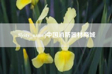 栖霞中国消防器材商城