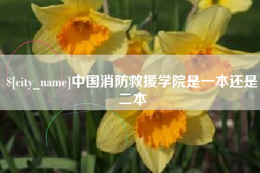 栖霞中国消防救援学院是一本还是二本