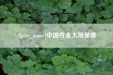 栖霞中国夺金大项是谁