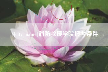 栖霞消防救援学院报考条件