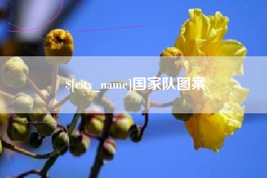 栖霞国家队图案