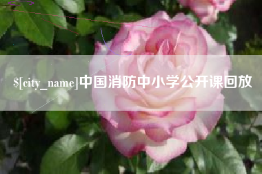 栖霞中国消防中小学公开课回放